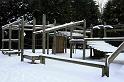 Snowy_Weather_Feb_09 (8)